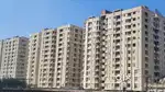 3BHK LUXURIOUS FLAT FULLY FURNISHED