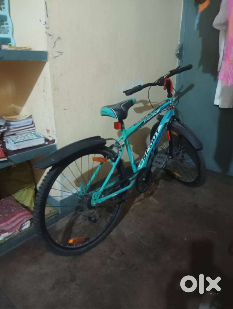 Brand new like cycle of year 2024