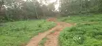 Thodupuzha paingottor kalloor plots for sale