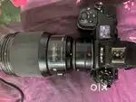 Nikon Z6ii & FTZ With Sigma 85mm F 1.4 lens