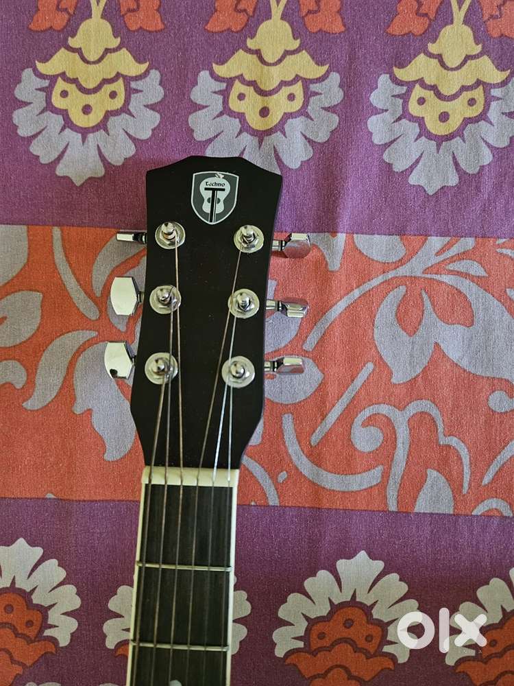 Musical instrument guitar