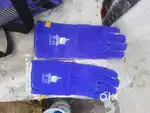 Pet carrier and gloves
