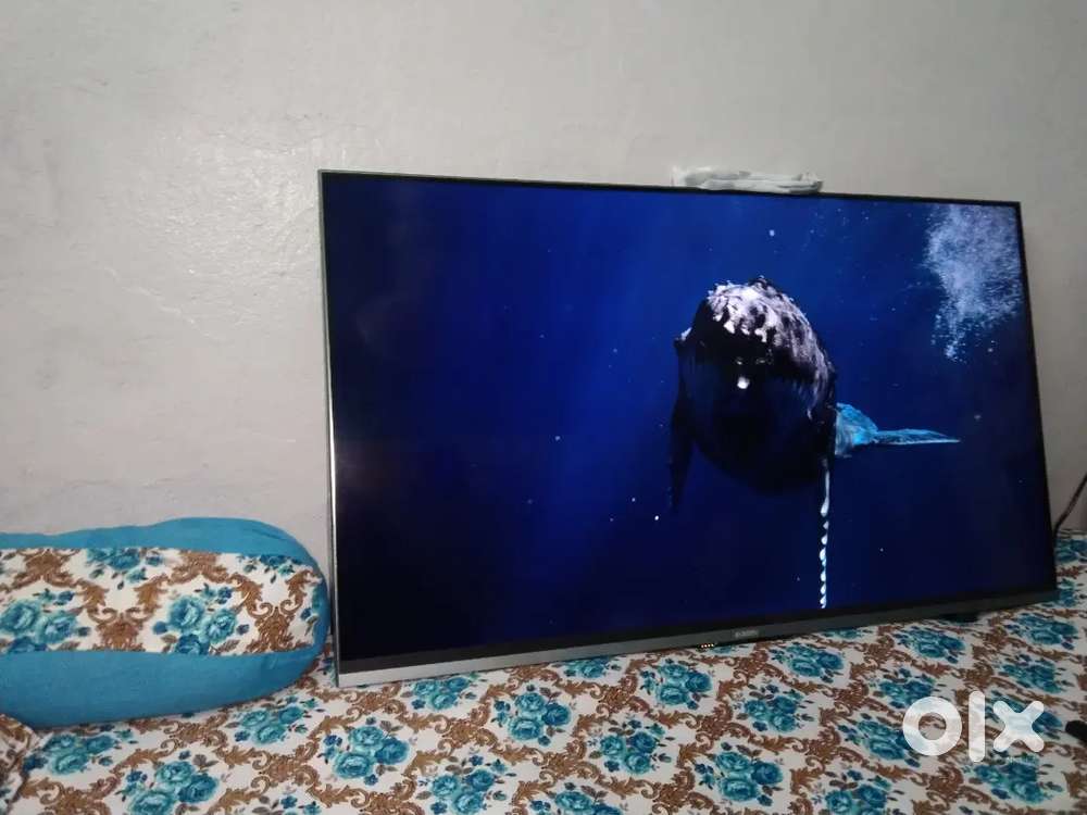 Mi 50 ench android tv