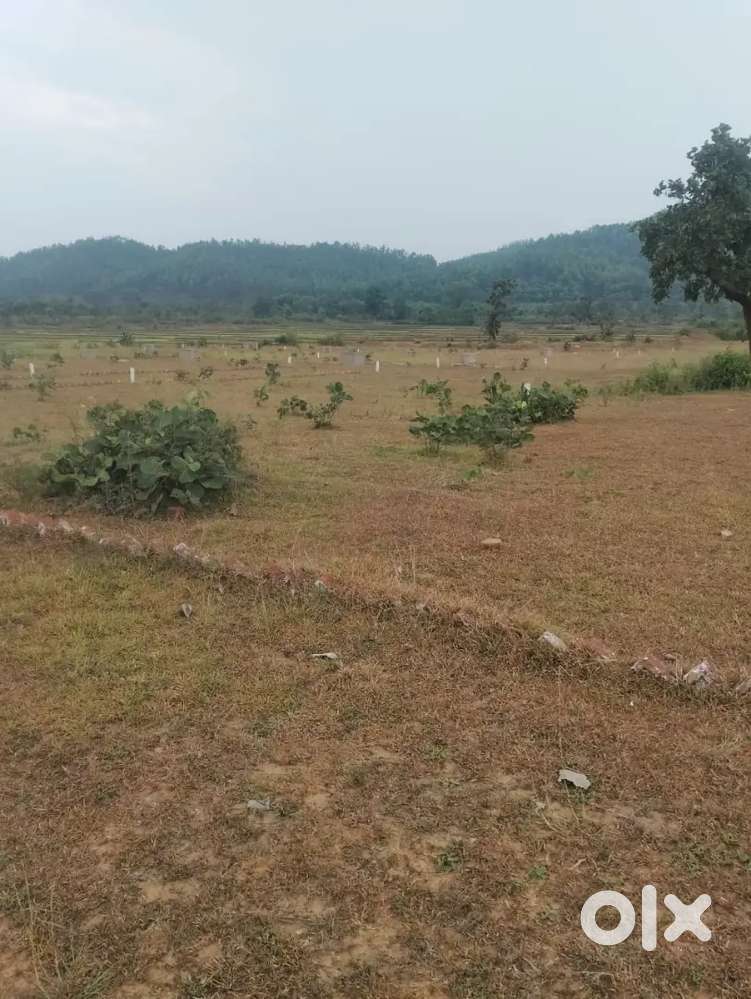 Cnt free reaistery motaiton plot