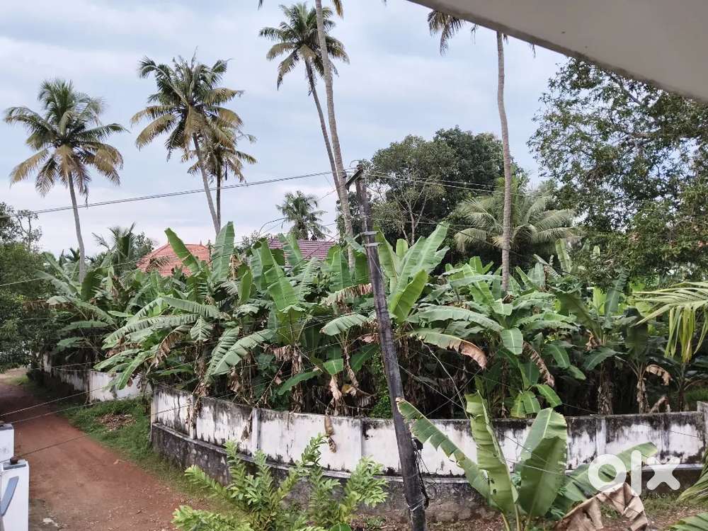 24 cent plot for sale