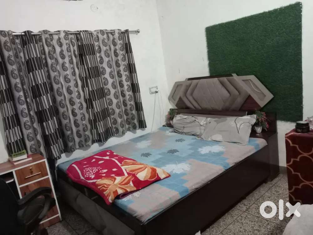 Need a room mate for sharing