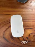 Magic mouse rechargable