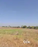 नेरपरसोपंत ते रत्नापूर ( ढेका ) एकूण ५.५ येकर रोड टच शेत विकणे आहे.