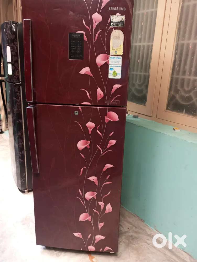 డబల్ డోర్, సింగల్ డోర్ fridges కలవు