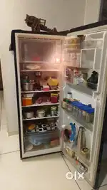 LG 270 ltr Fridge, Single Door Refrigerator