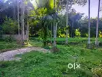 Under Digboi Municipal corporation, bapapung