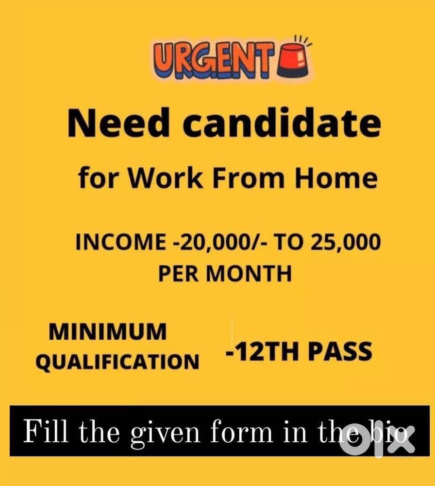 Free Lancing & Online Work