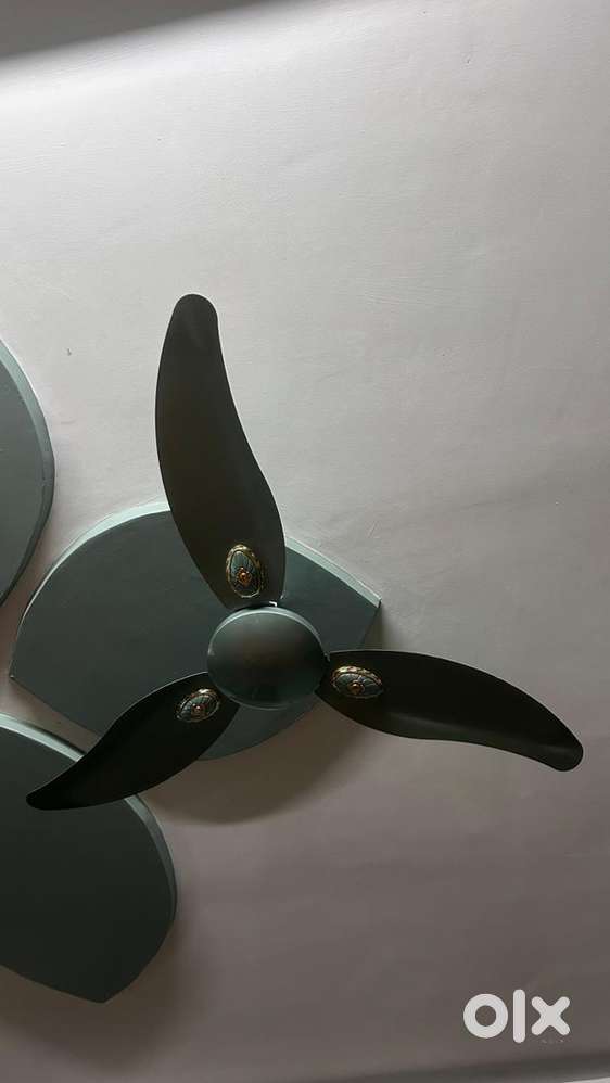 Crompton ceiling fan in good condition