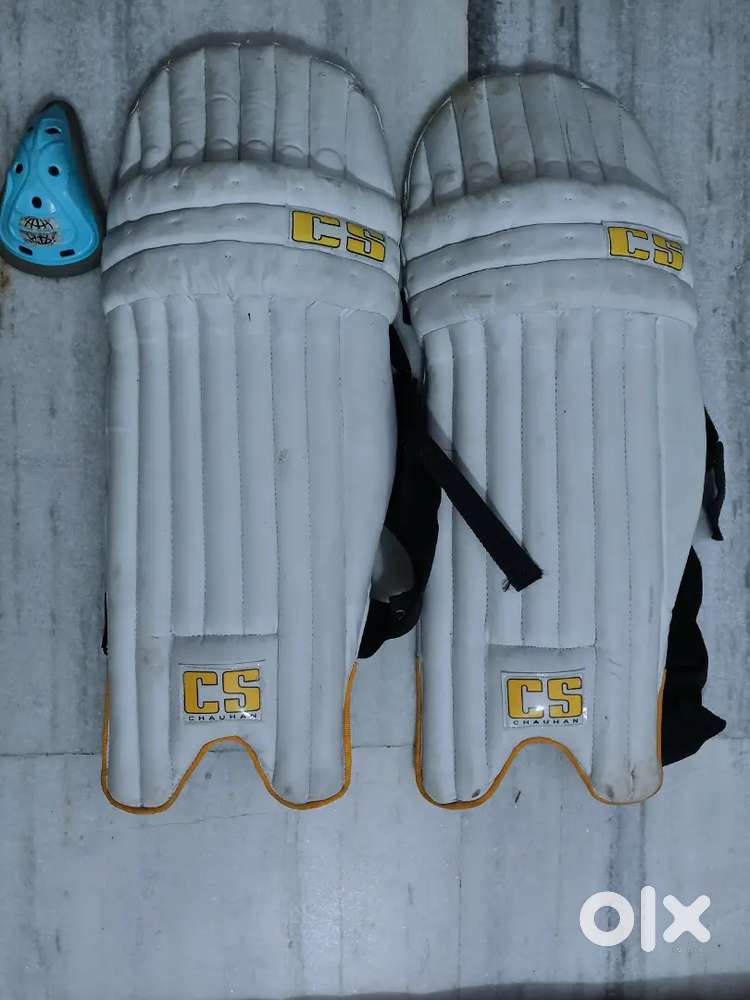 Cricket pads with free item