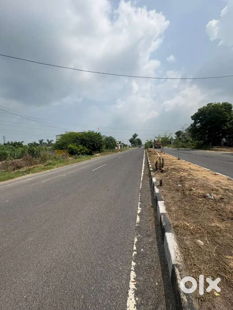 This is the best investment solution in jattari