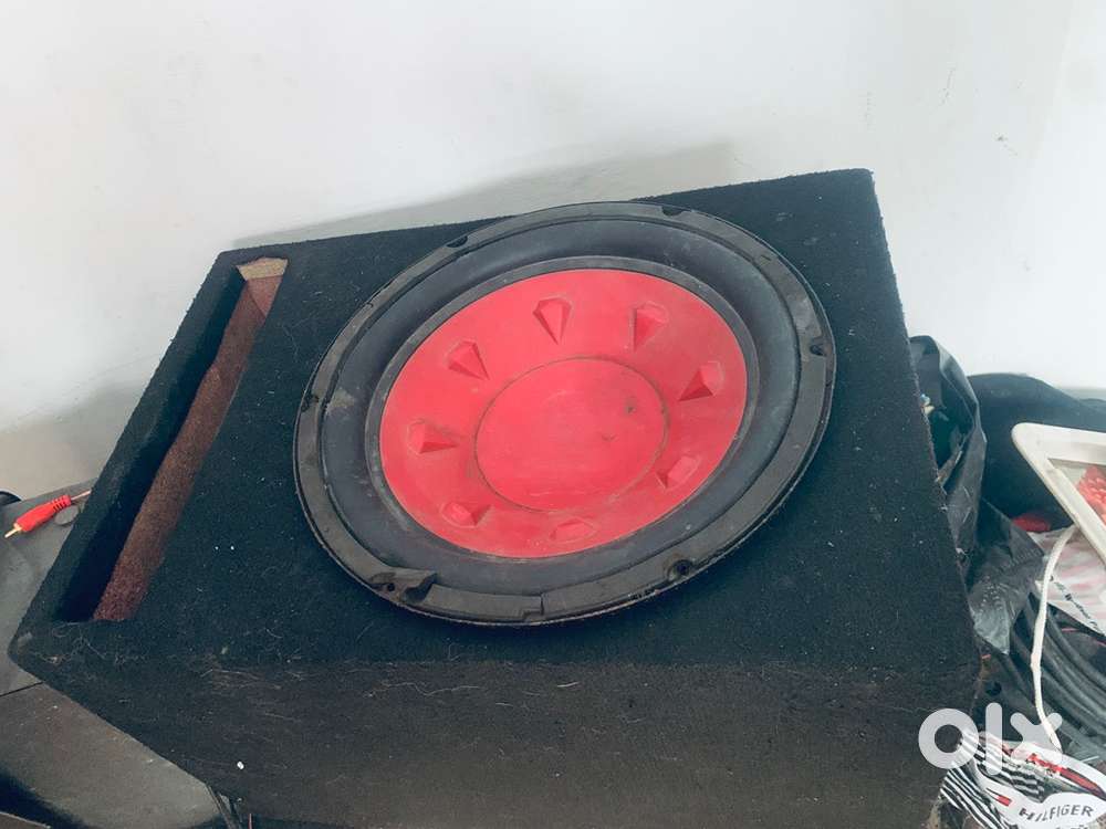 12inch woofer with peti