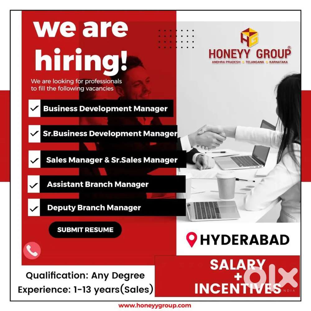 Hiring a experienced &freshers