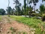 4 to 6 cents plots sale at  Thripunithura ,Petta .