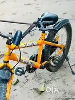 Topper Divine cycle