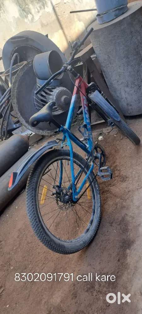Double disc brake