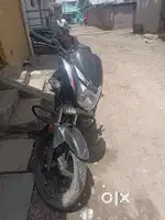 Honda Shine Best condition