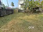 6 cent Original Land for Sale Eroor Tripunithra 13.5 Lakhs/cent