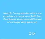 Audit Assistant