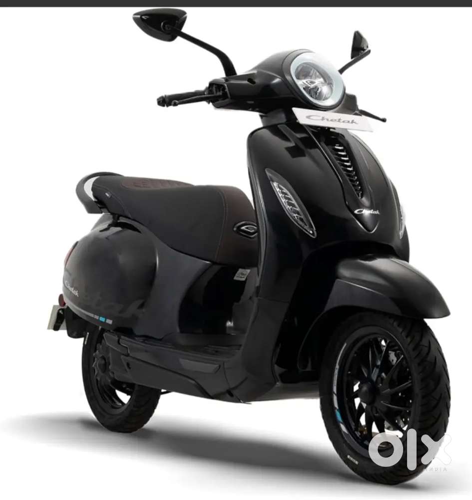 chetak. just 5 month old