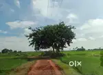 Farm Manager