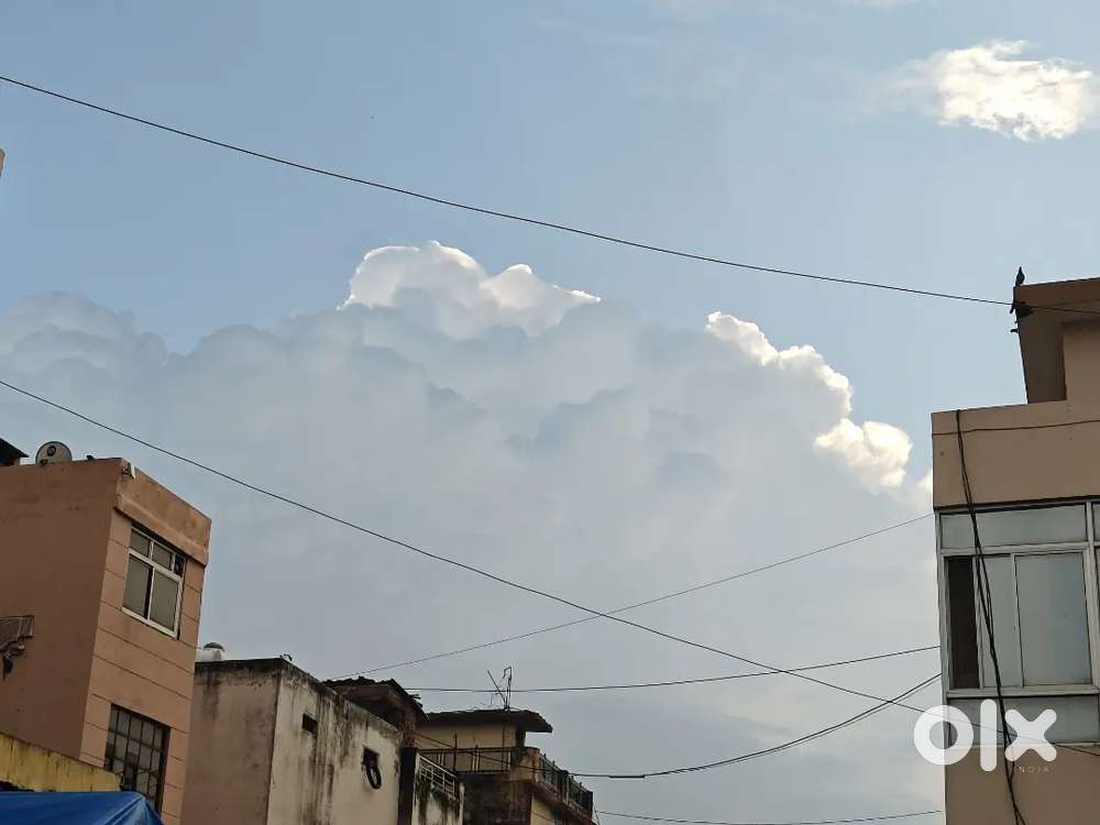 Dfreedge Bdiya quality h