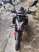 Pulsar n125 january2025
