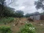 Thrissur  valappaya 5,6,7,8,10 cent plot for sale per cent 2.50 lakh