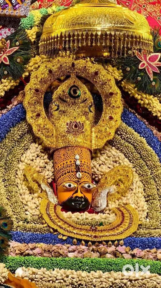 Rented rooms available