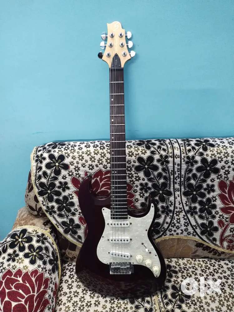 Greg Bennett and Ibanez electric guitar