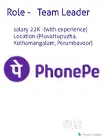 Team Leader for Telecom