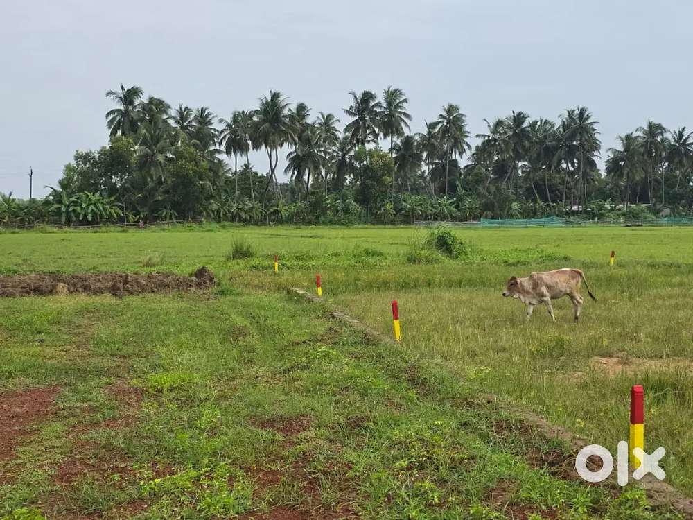 Ghara Bari plot Available in Malatipatapur
