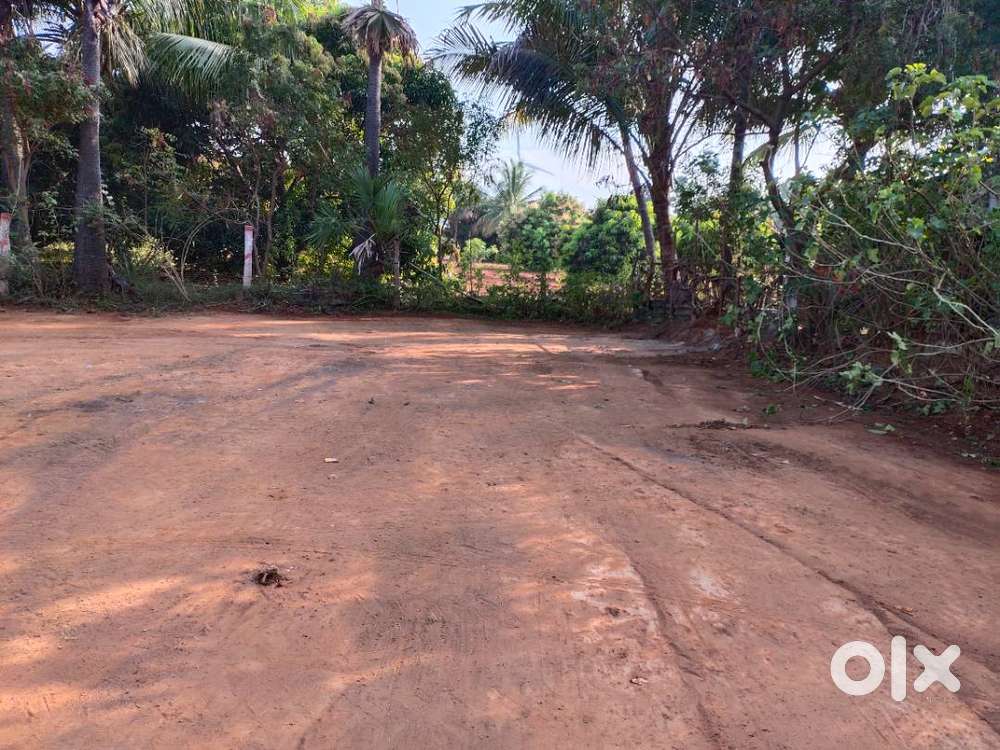 திருமலைக்கோவில் ரோடு அருகில் 3 சென்ட் நிலம்