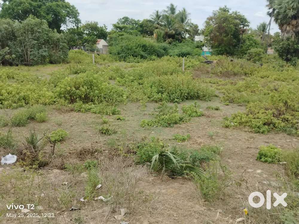 53 cent available on road land. 800rs per sqft.