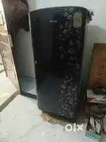 5 year old fridge