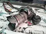 Canon 6D mark2