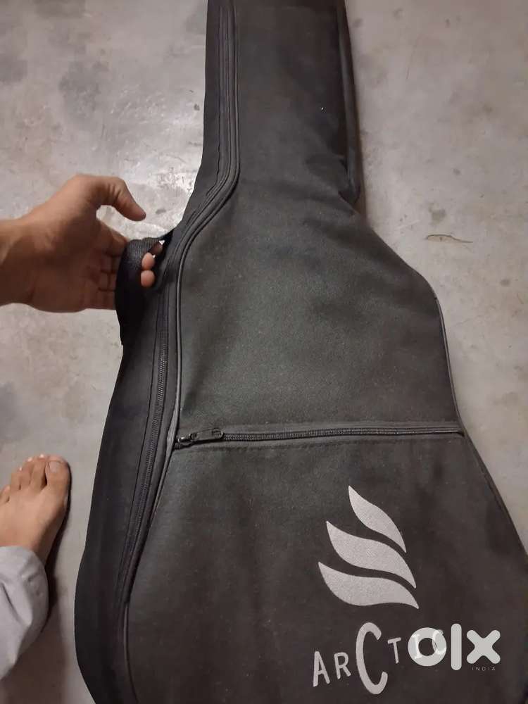 Arctic guitar