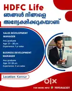 DEVELOPMENT MANAGER