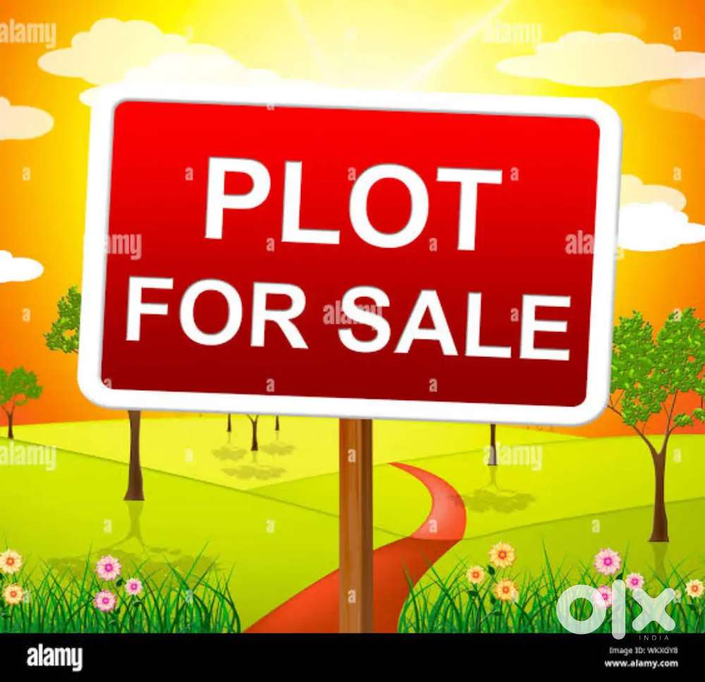 Money Need,  250 Gaz Corner Plot for Sale on 24 Wide Road