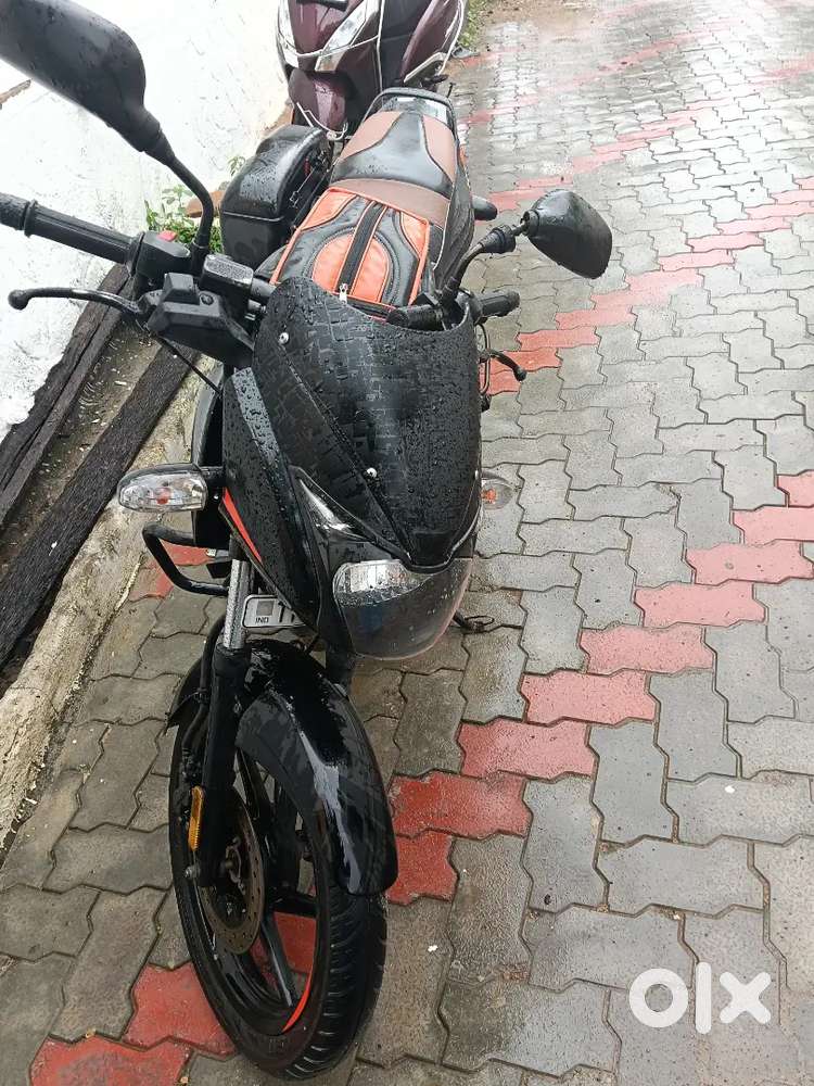 Single owner Pulsar 125. Bs4.TN96.