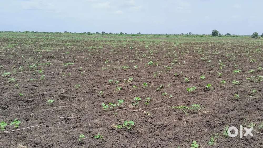 Agri land yari 3.5 acres , 14 lakhs per acres ,attach to main tar road