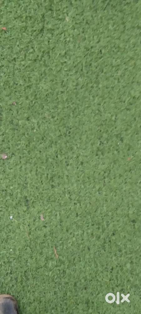 Landscape Artificial Grass