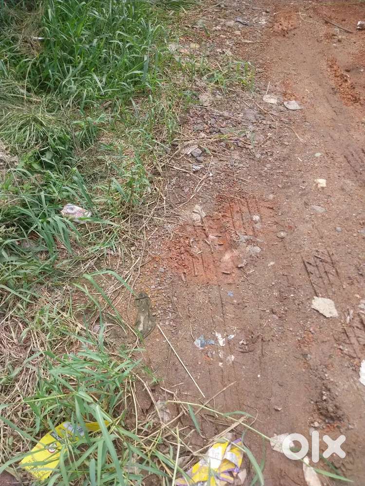 Perumpadappu. 5cent. Car Entry Plot