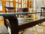 6 seater Glass Dining Table