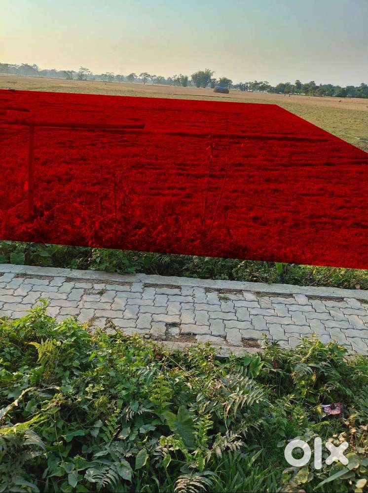 2 Bigha Land for Sale – Ideal for  / Home / Investment