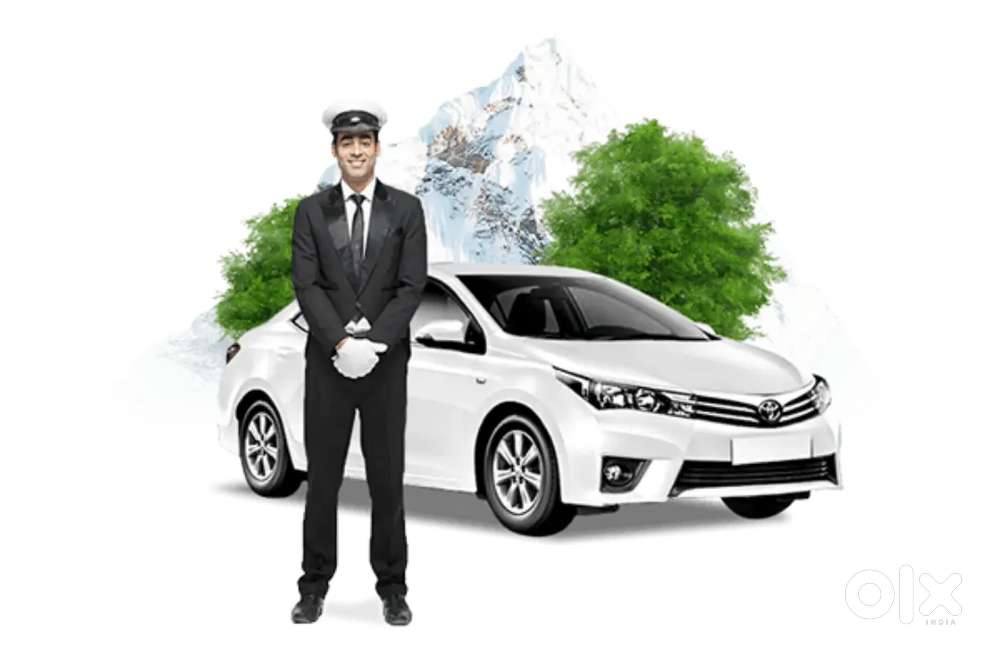 Acting driver or permanent driver